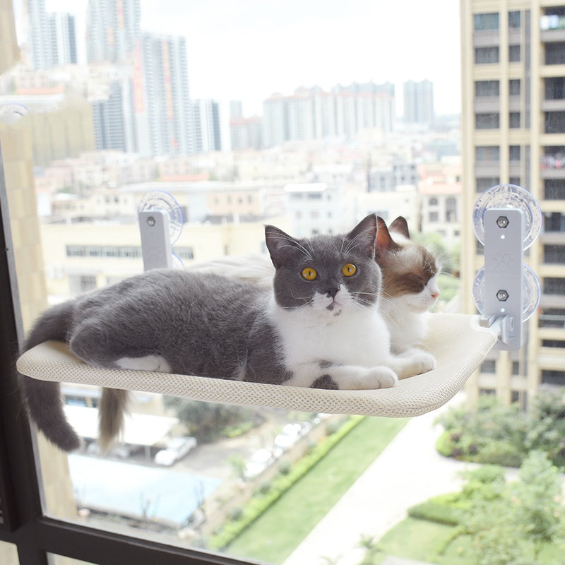 Cat Suction Cup Window Glass Hammock Pet Cat Pets