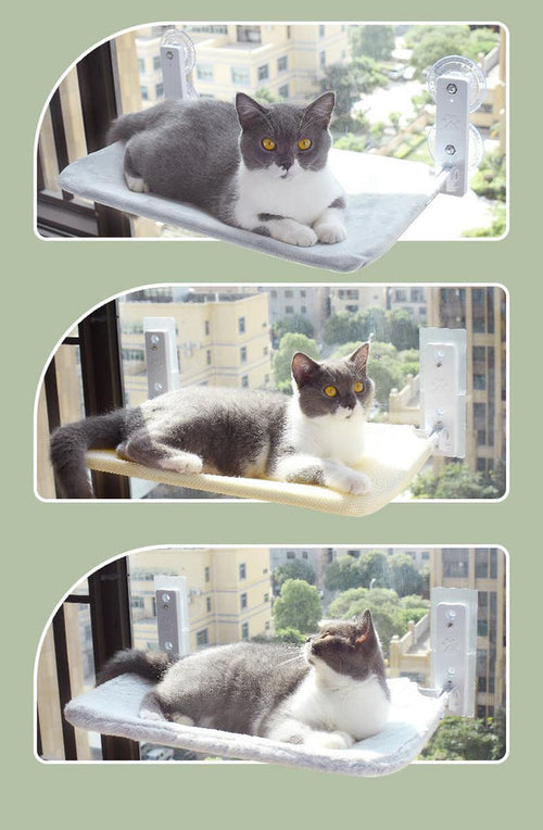 Cat Suction Cup Window Glass Hammock Pet Cat Pets